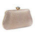 Women Clutch - 05588B - Party Clutch - Walkeaze