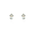 Women Earring Jewelry - 004425J - Earring Jewelry - Walkeaze