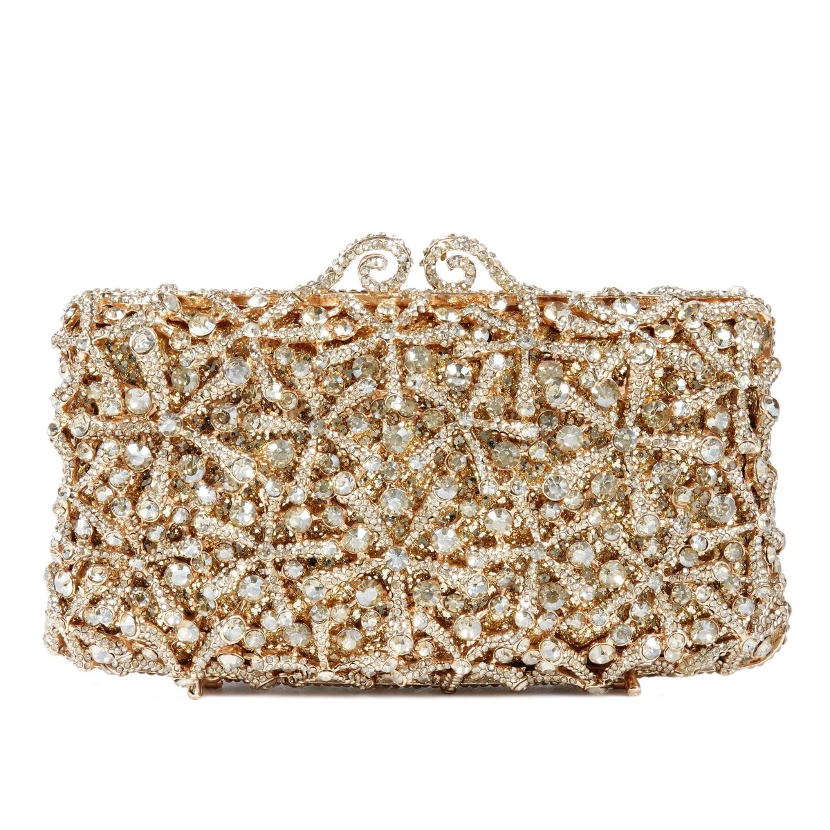 Women Clutch - 15028B