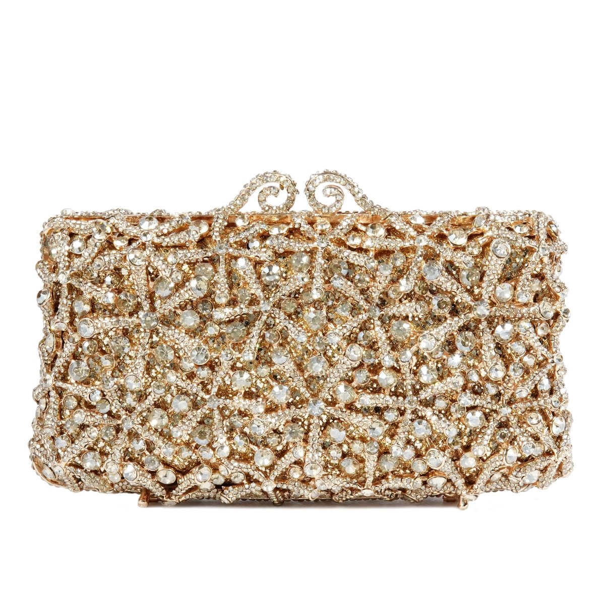 Women Clutch - 15028B