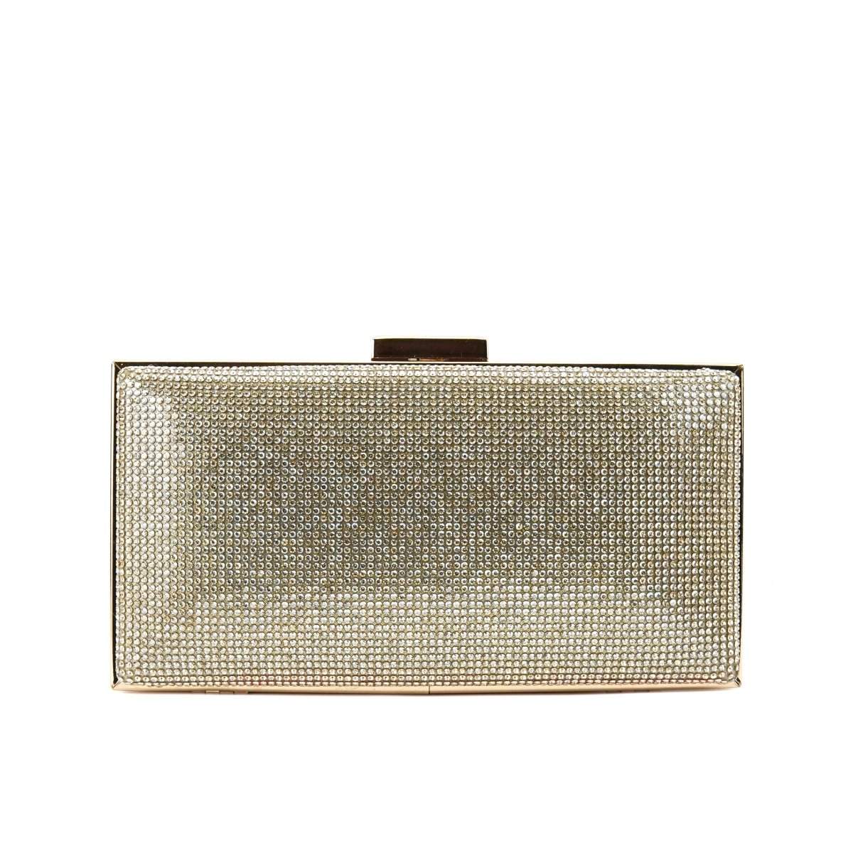 Women Clutch - 15497B