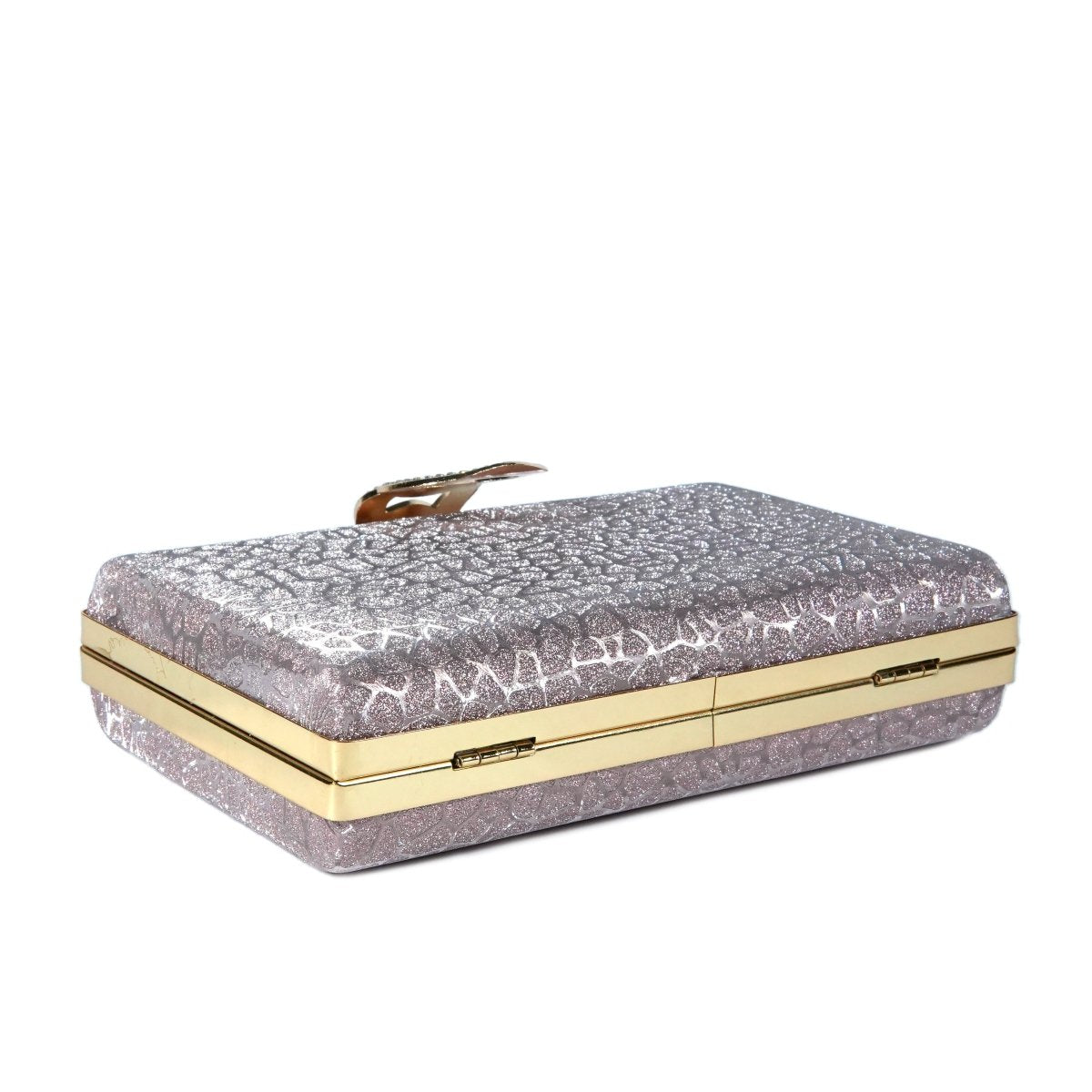 Women Clutch - 3689B