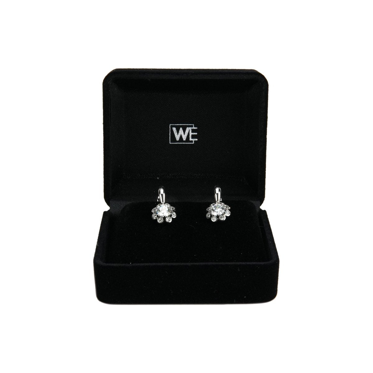 Women Earring Jewelry - 004372J