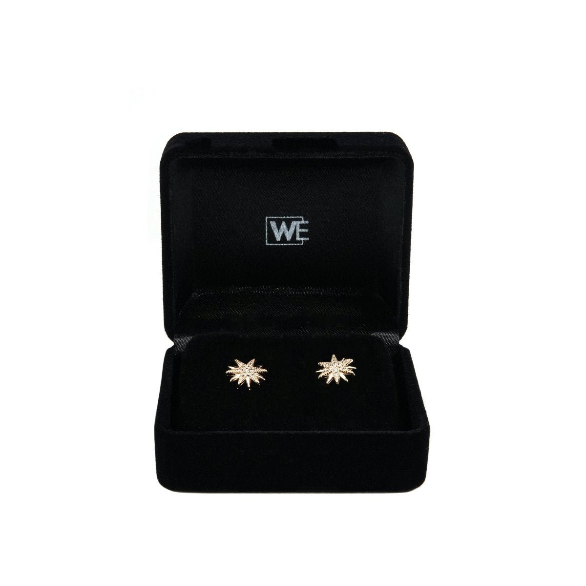 Women Earring Jewelry - 004630J