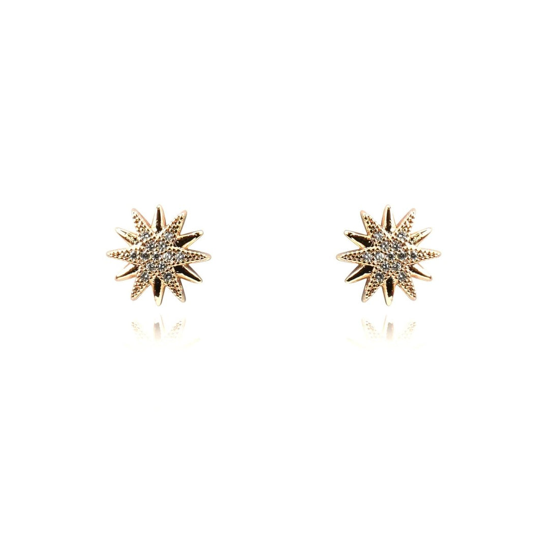 Women Earring Jewelry - 004630J - Earring Jewelry - Walkeaze