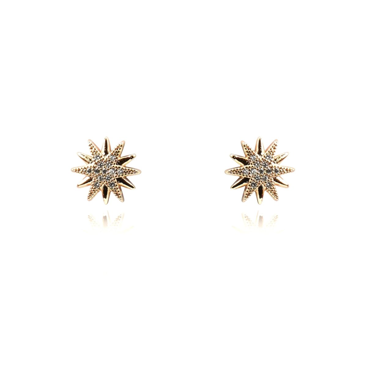 Women Earring Jewelry - 004630J