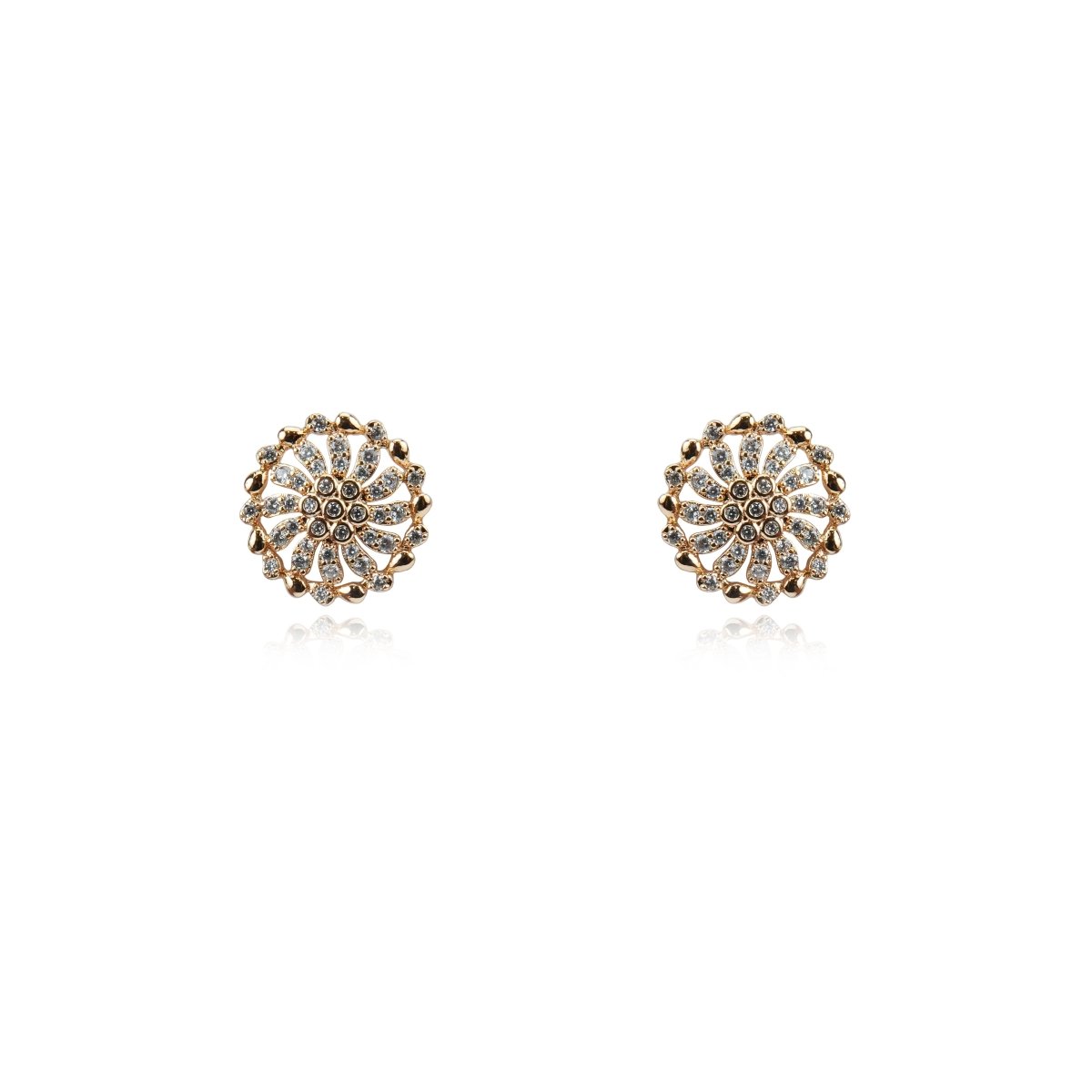 Women Earring Jewelry - 004771J