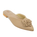 Fawn
